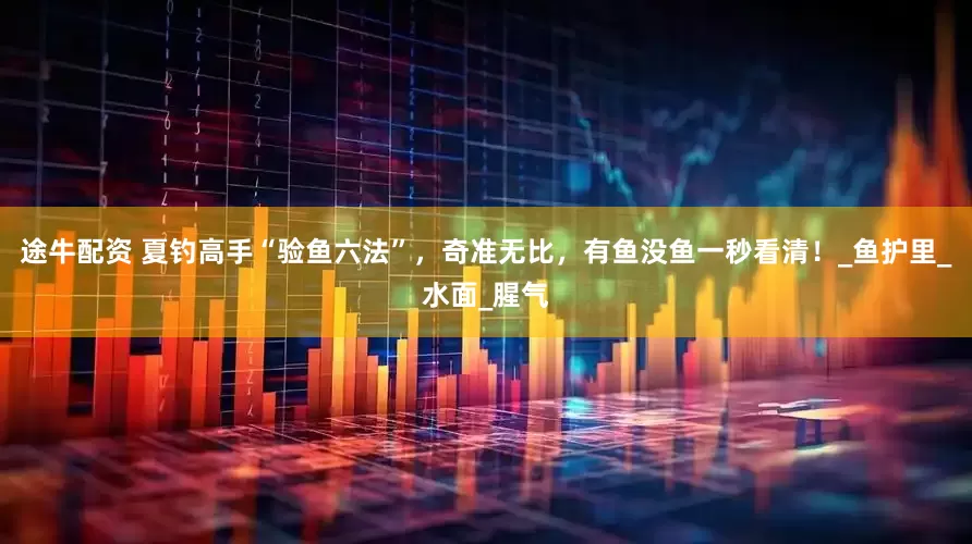 途牛配资 夏钓高手“验鱼六法”，奇准无比，有鱼没鱼一秒看清！_鱼护里_水面_腥气