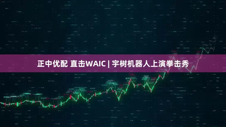 正中优配 直击WAIC | 宇树机器人上演拳击秀