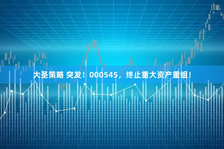 大圣策略 突发！000545，终止重大资产重组！