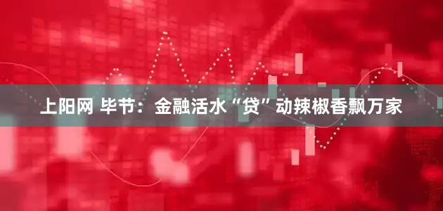 上阳网 毕节：金融活水“贷”动辣椒香飘万家