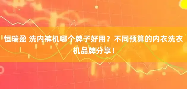 恒瑞盈 洗内裤机哪个牌子好用？不同预算的内衣洗衣机品牌分享！