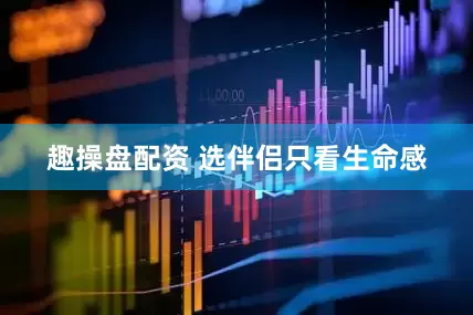 趣操盘配资 选伴侣只看生命感