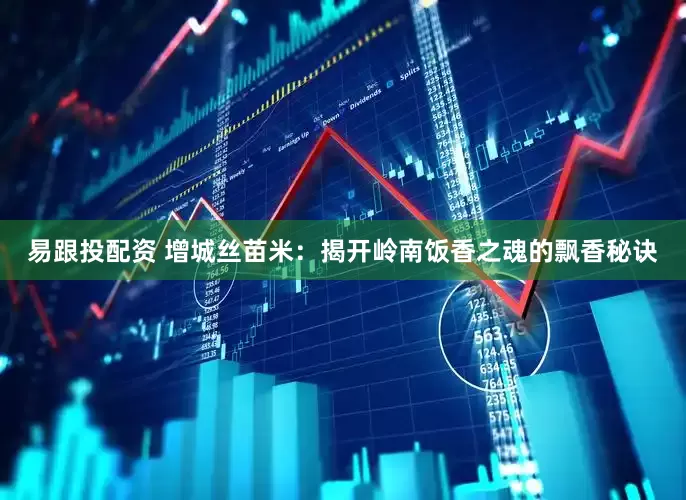 易跟投配资 增城丝苗米：揭开岭南饭香之魂的飘香秘诀